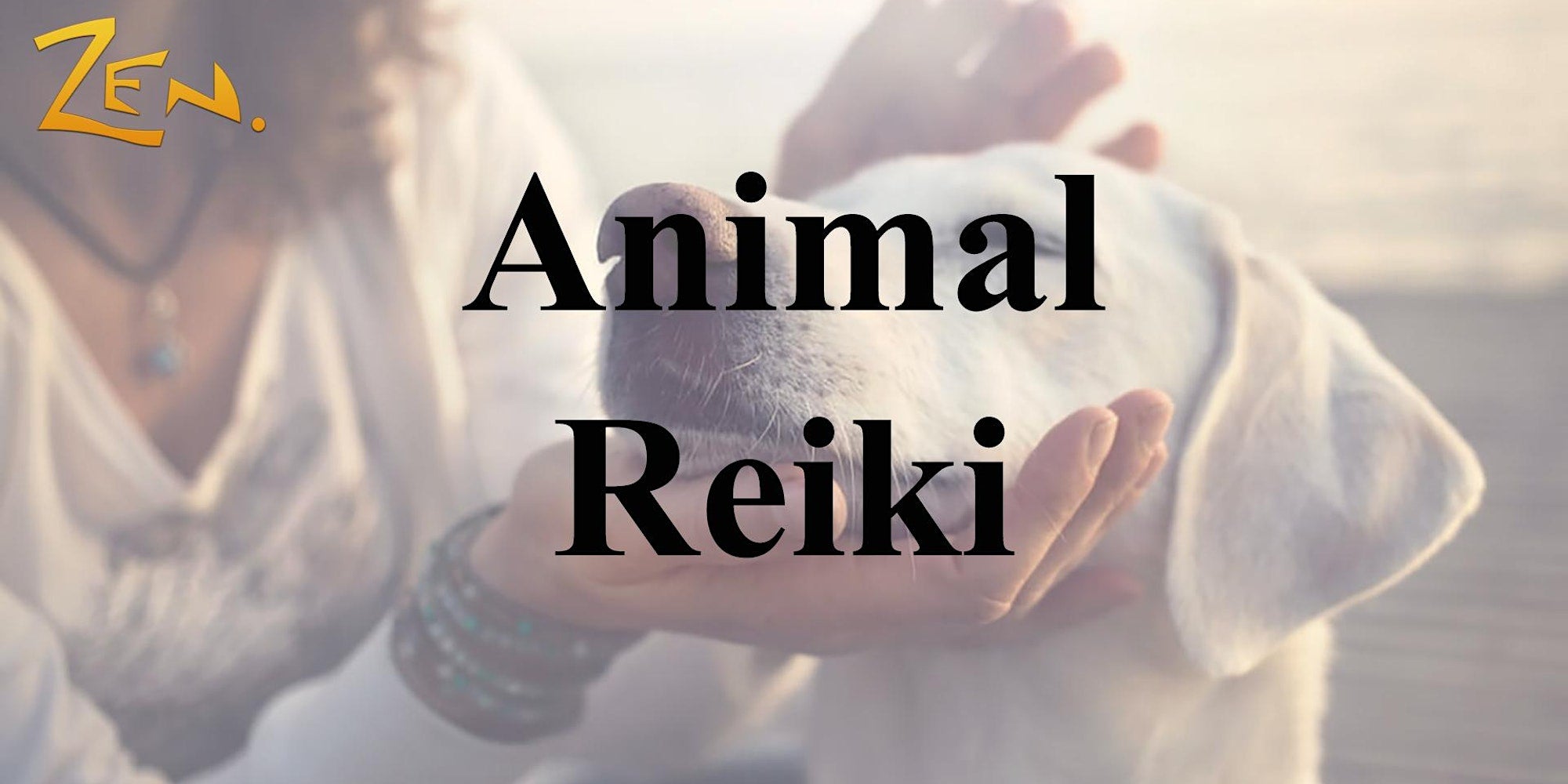 15/06/2024 - Animal Reiki