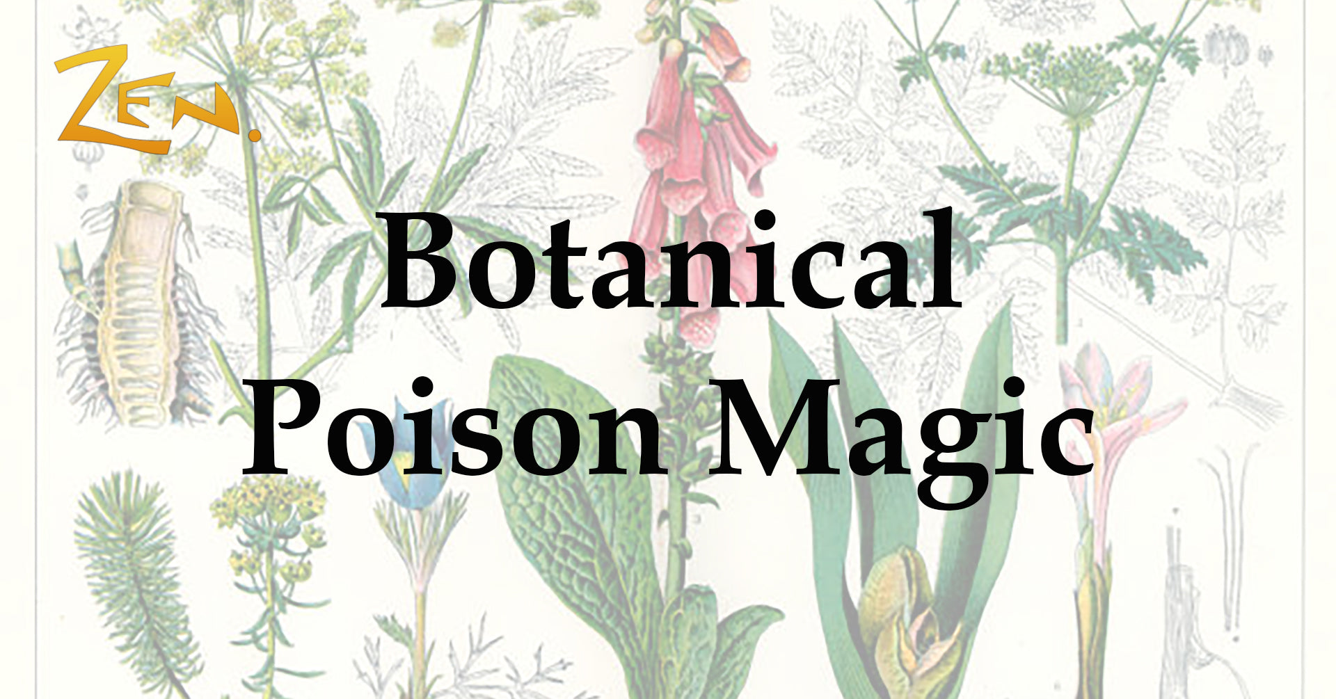 25/04/2024 - Botanical Poison Magic