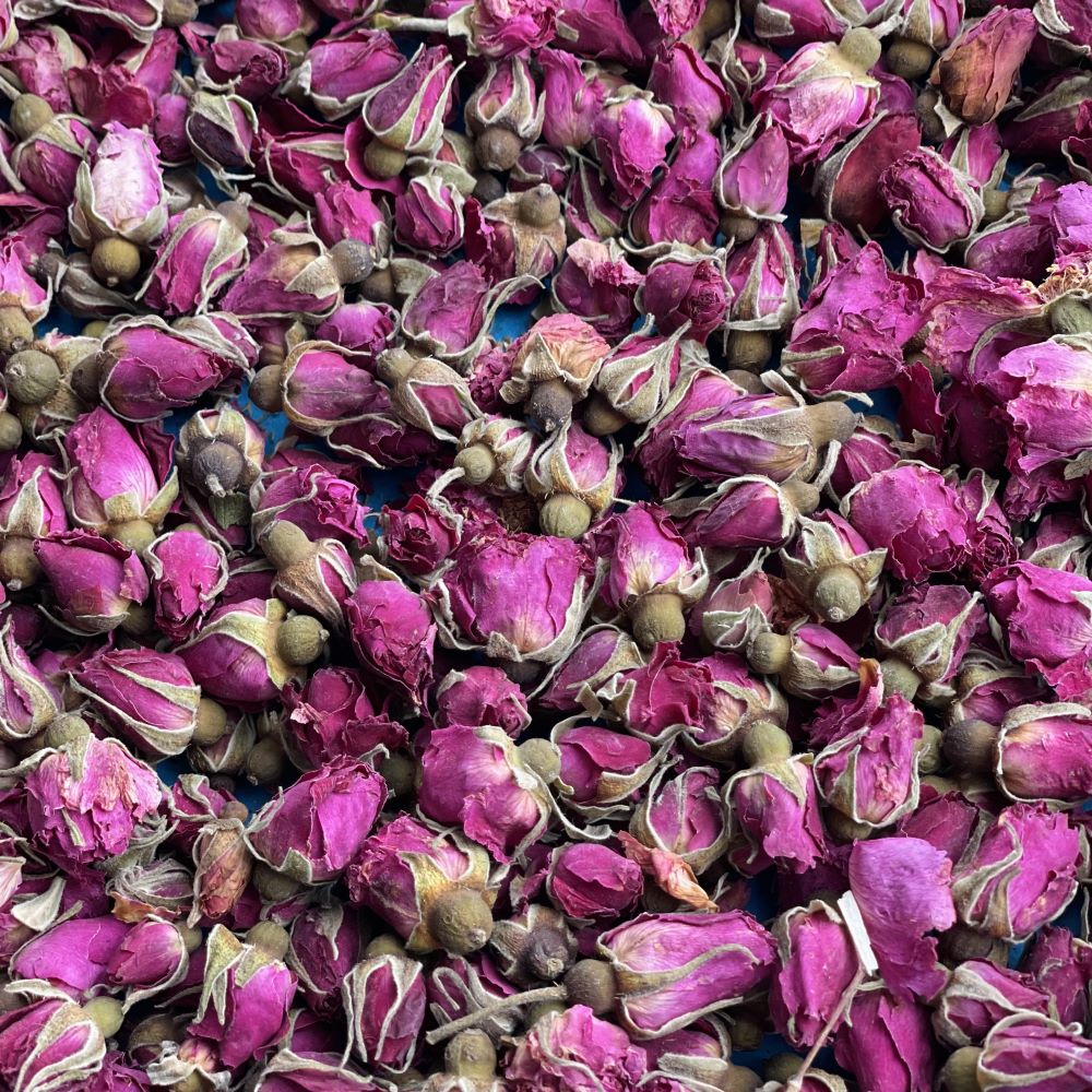 Healing & Magical Uses of Rose Petals