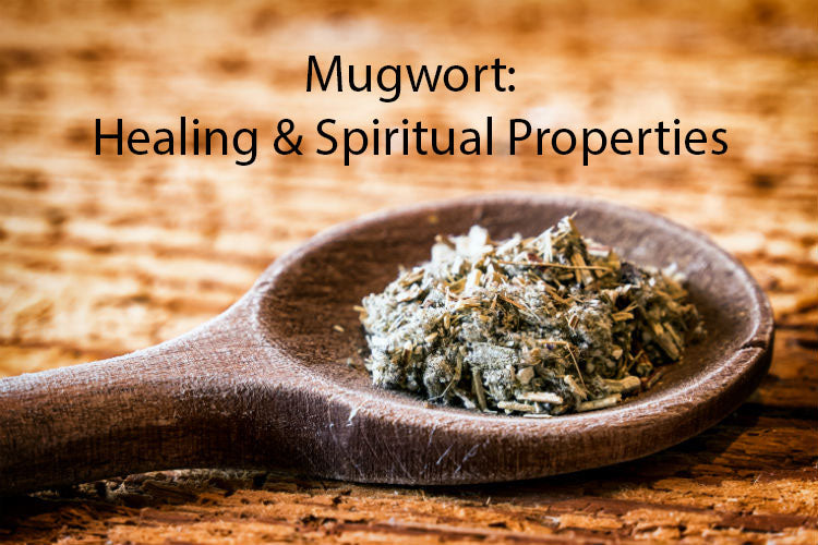 Mugwort: Healing & Spiritual Properties.