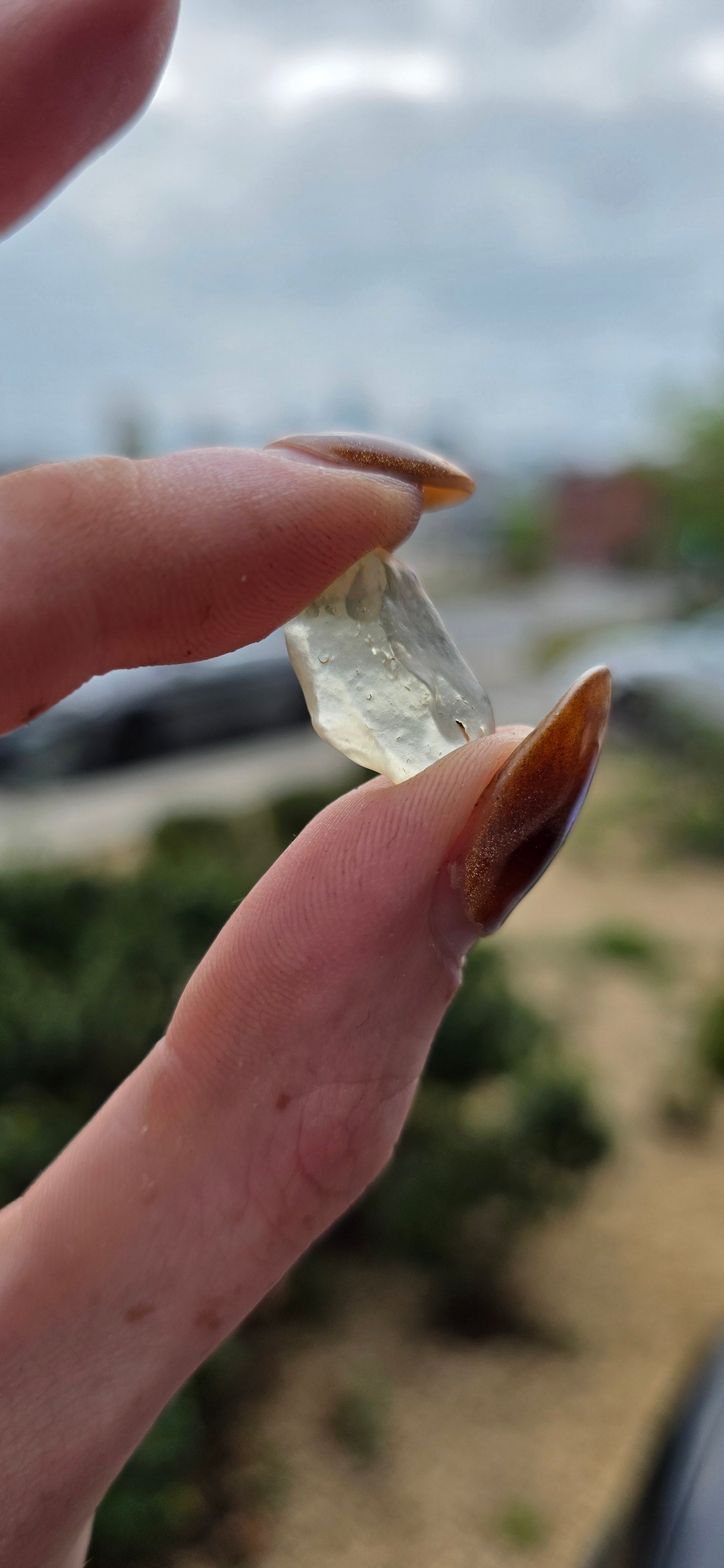 Libyan Golden (Tektite)