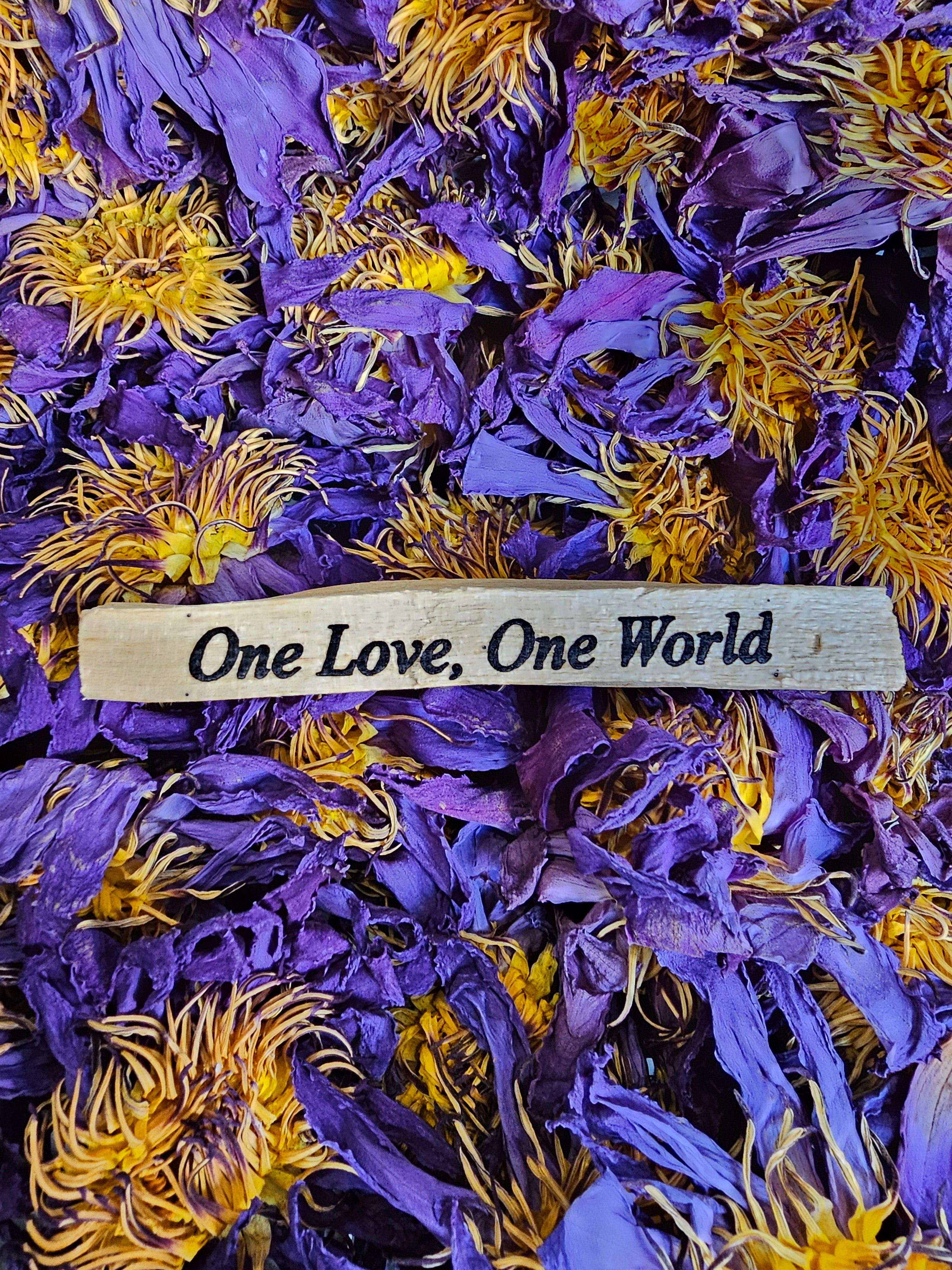 Palo Santo Affirmation Stick