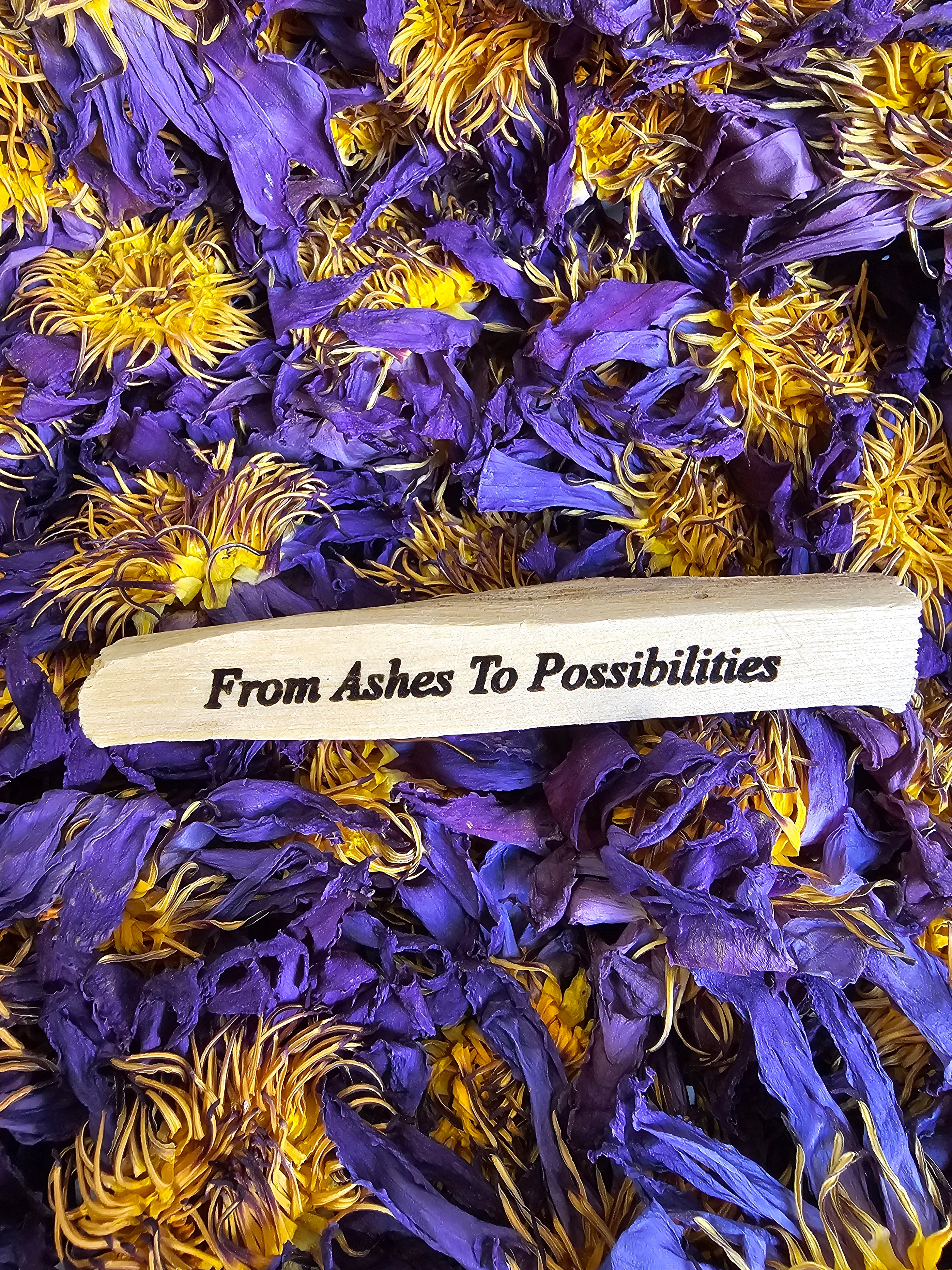 Palo Santo Affirmation Stick