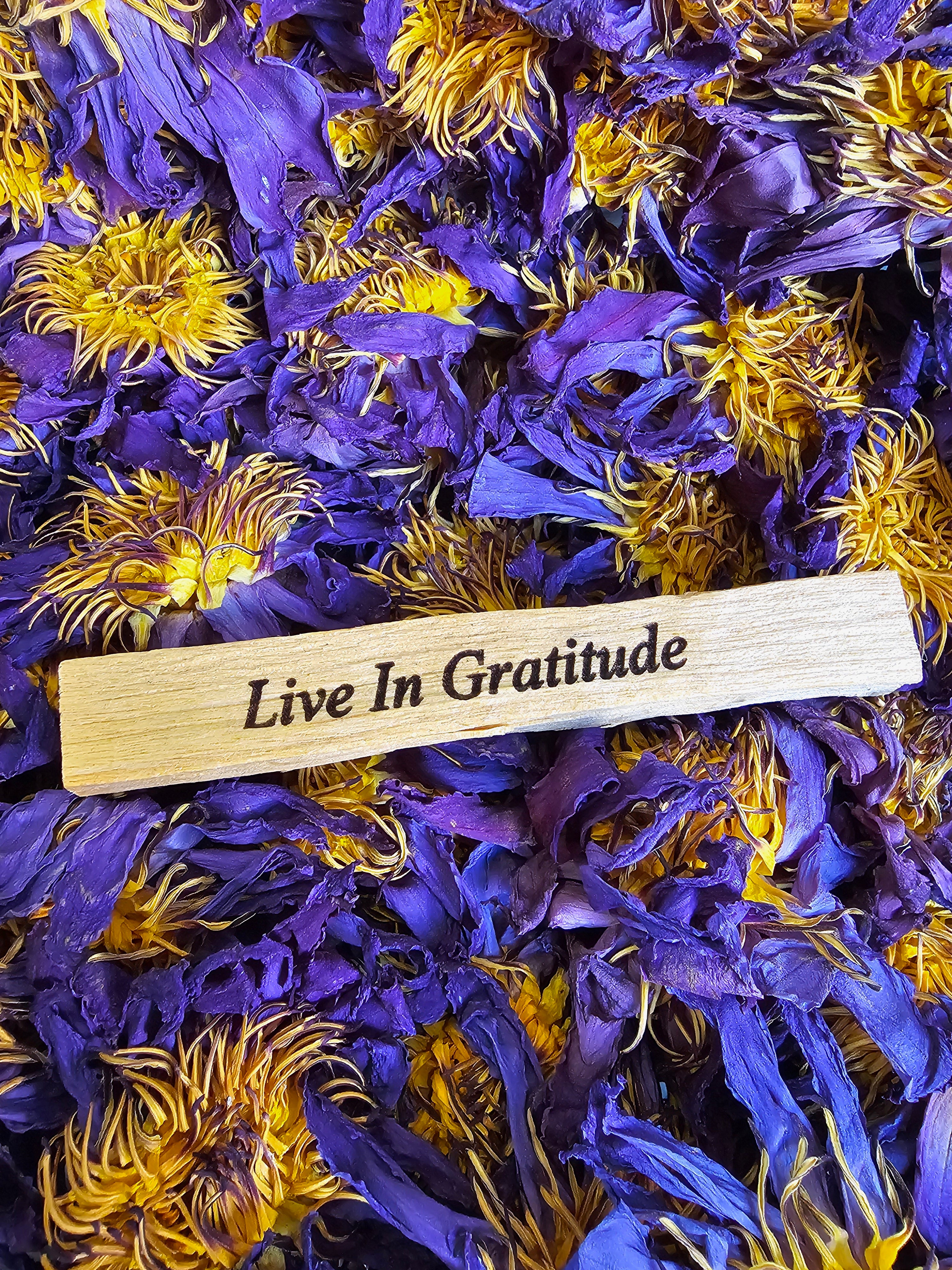 Palo Santo Affirmation Stick