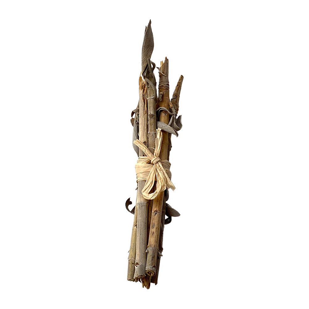 White Sage Stems 4"