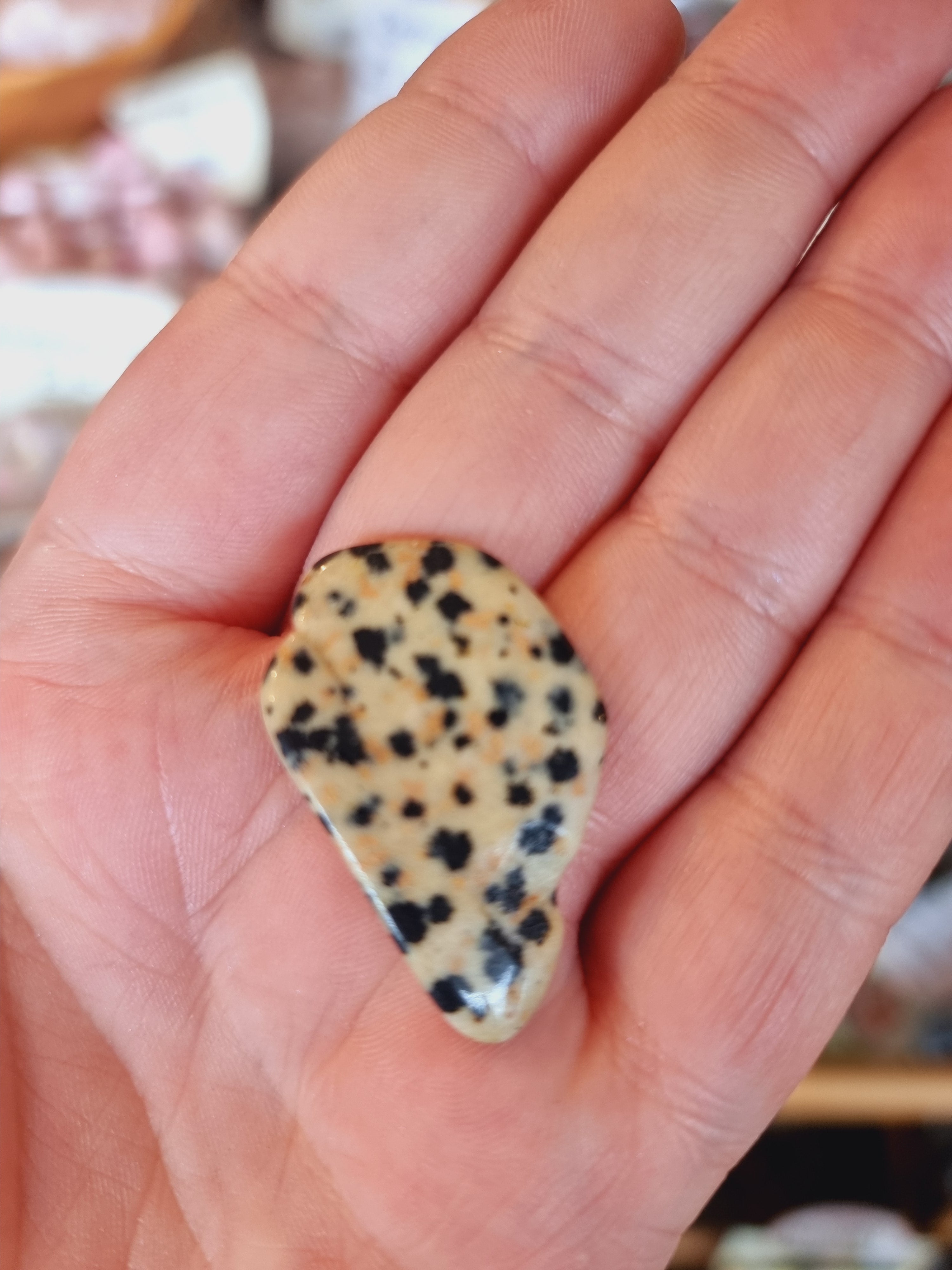 Dalmation Jasper