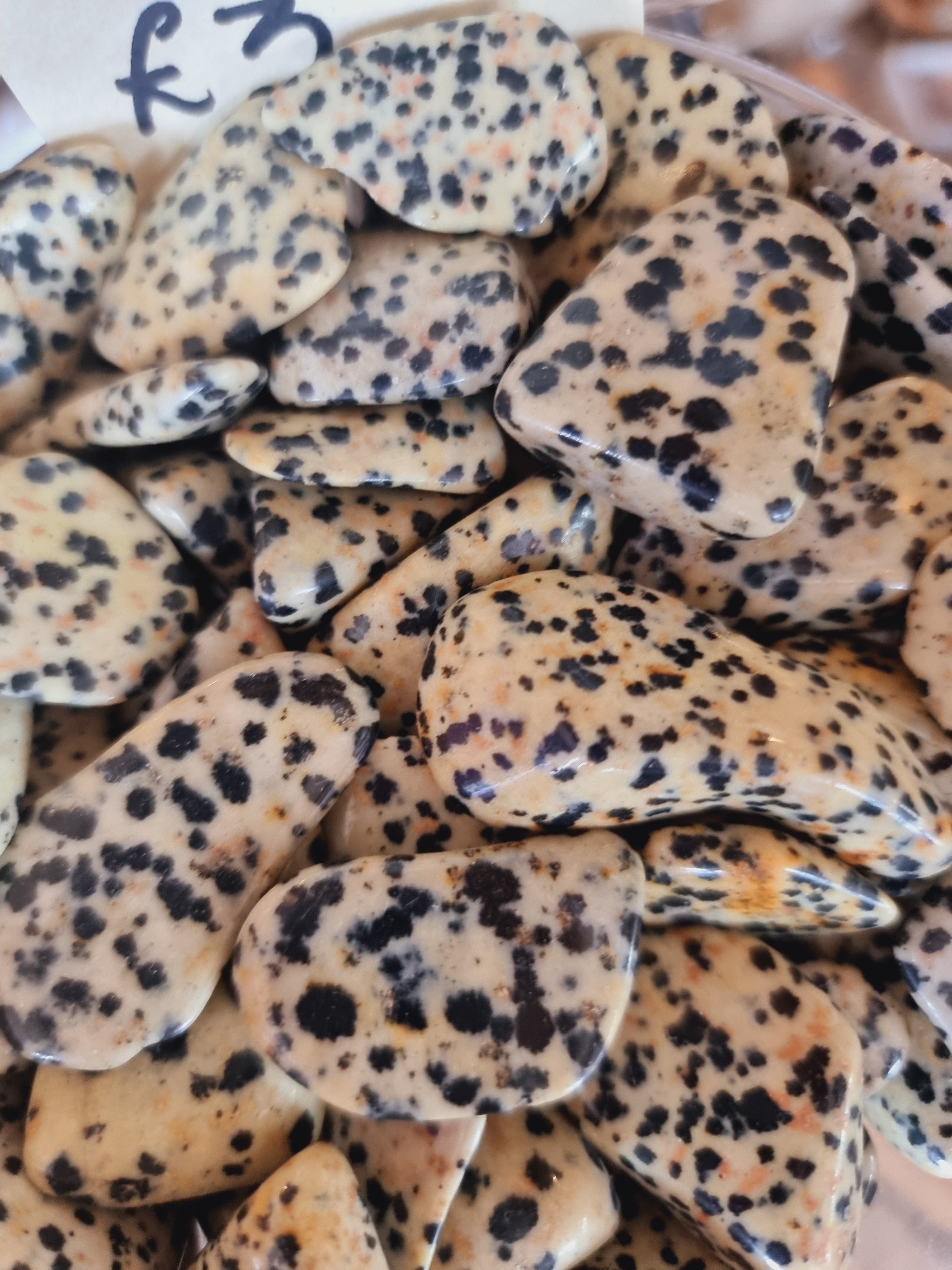 Dalmation Jasper