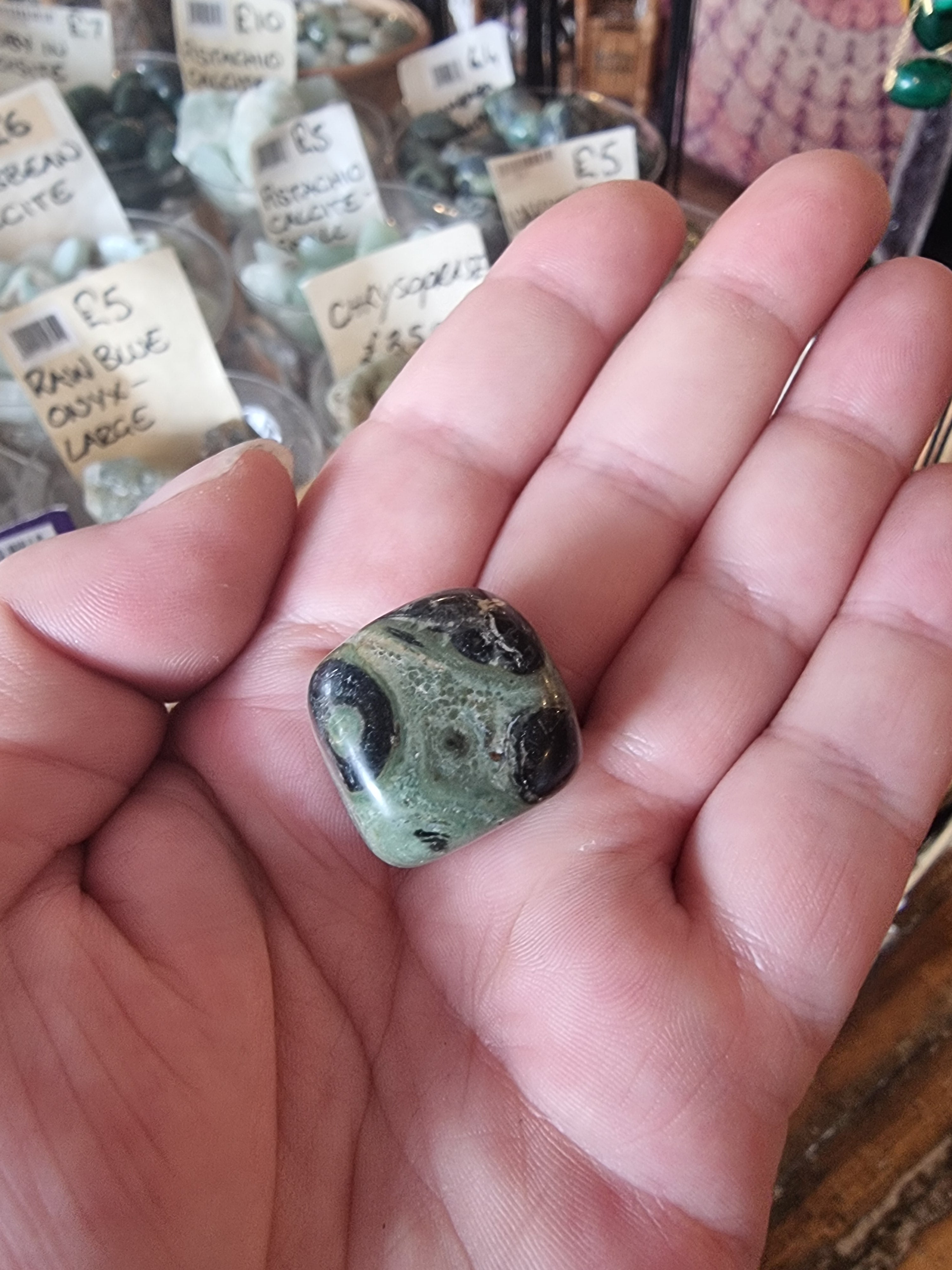 Kambaba Jasper