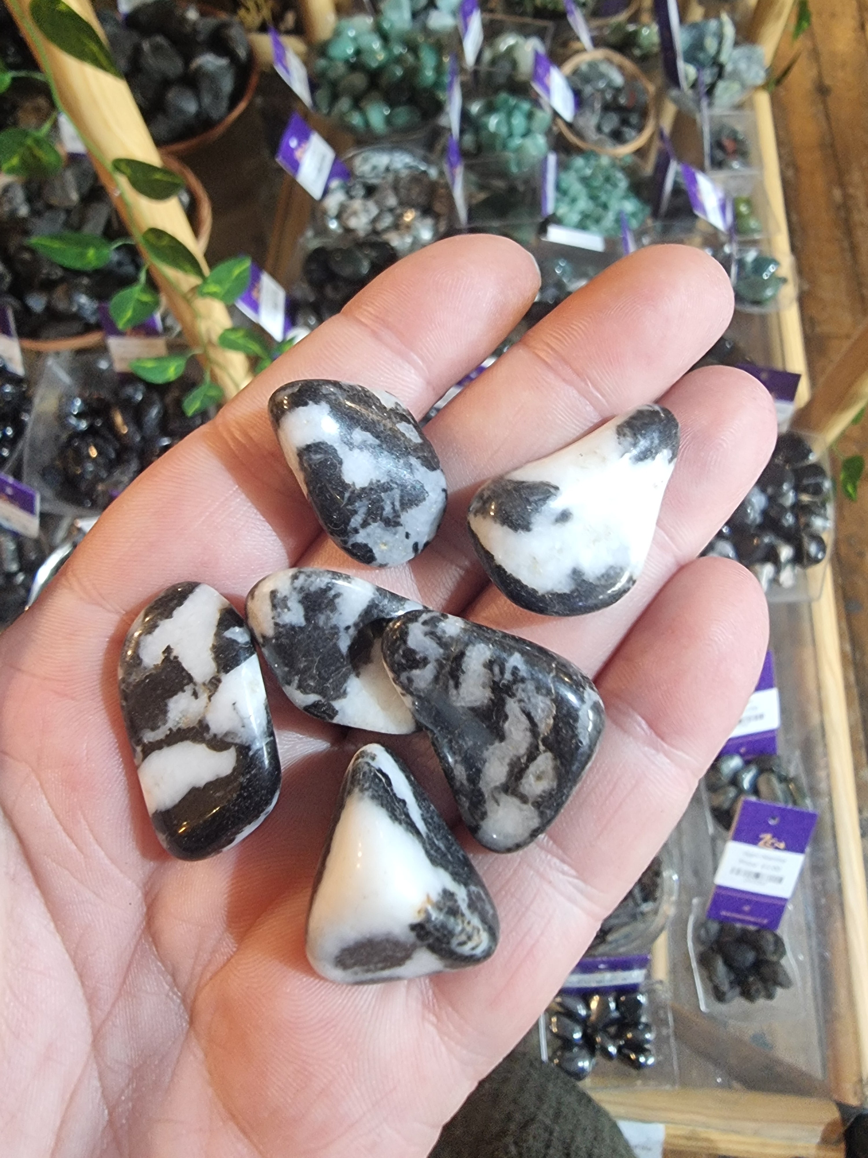 Zebra Agate