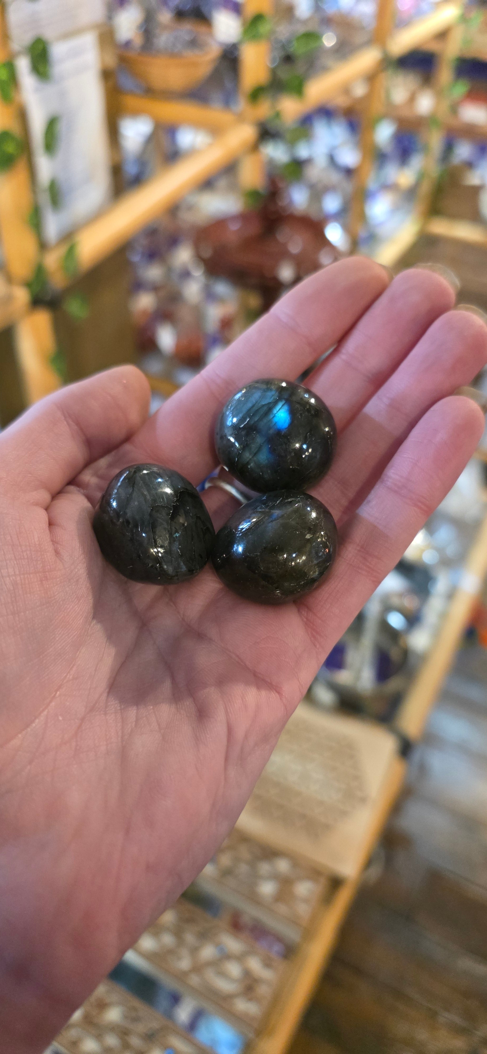 Labradorite Pebbles