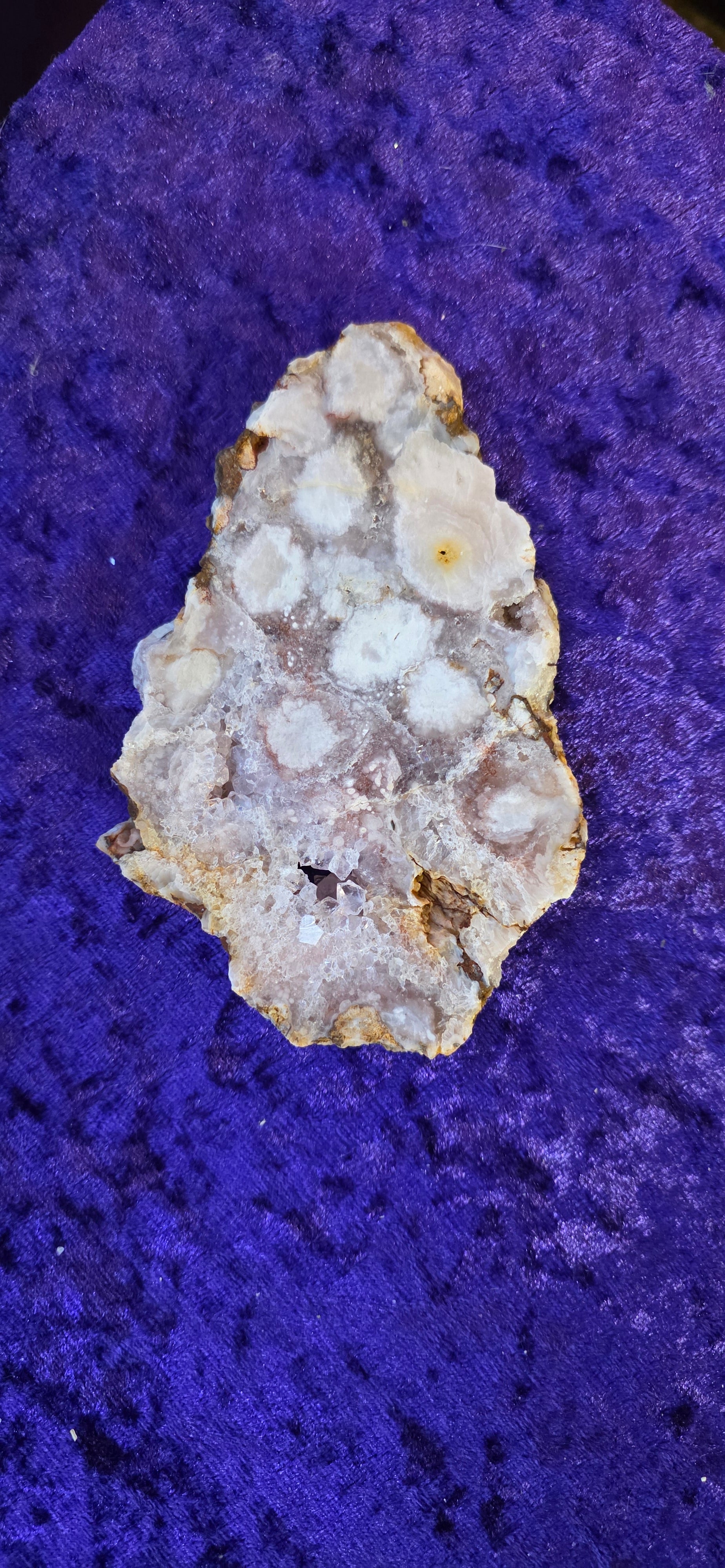 Blossom Agate Slice