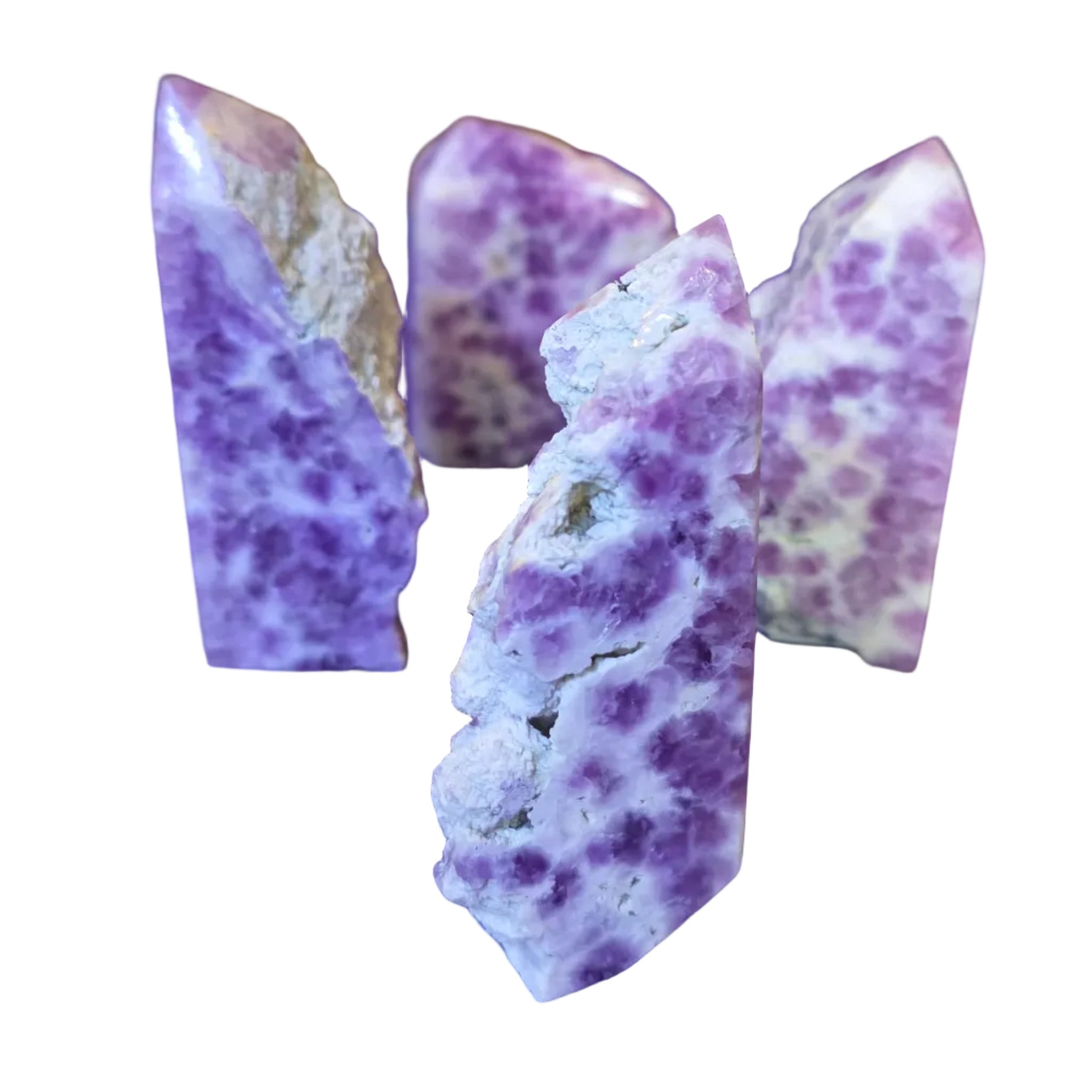 Orbicular Jasper Polished Points