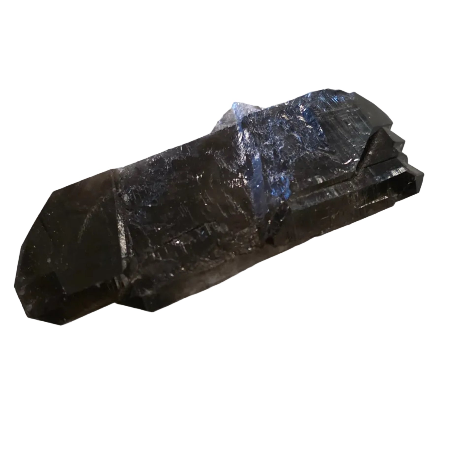 Elestial Smokey Quartz with Seed Bed