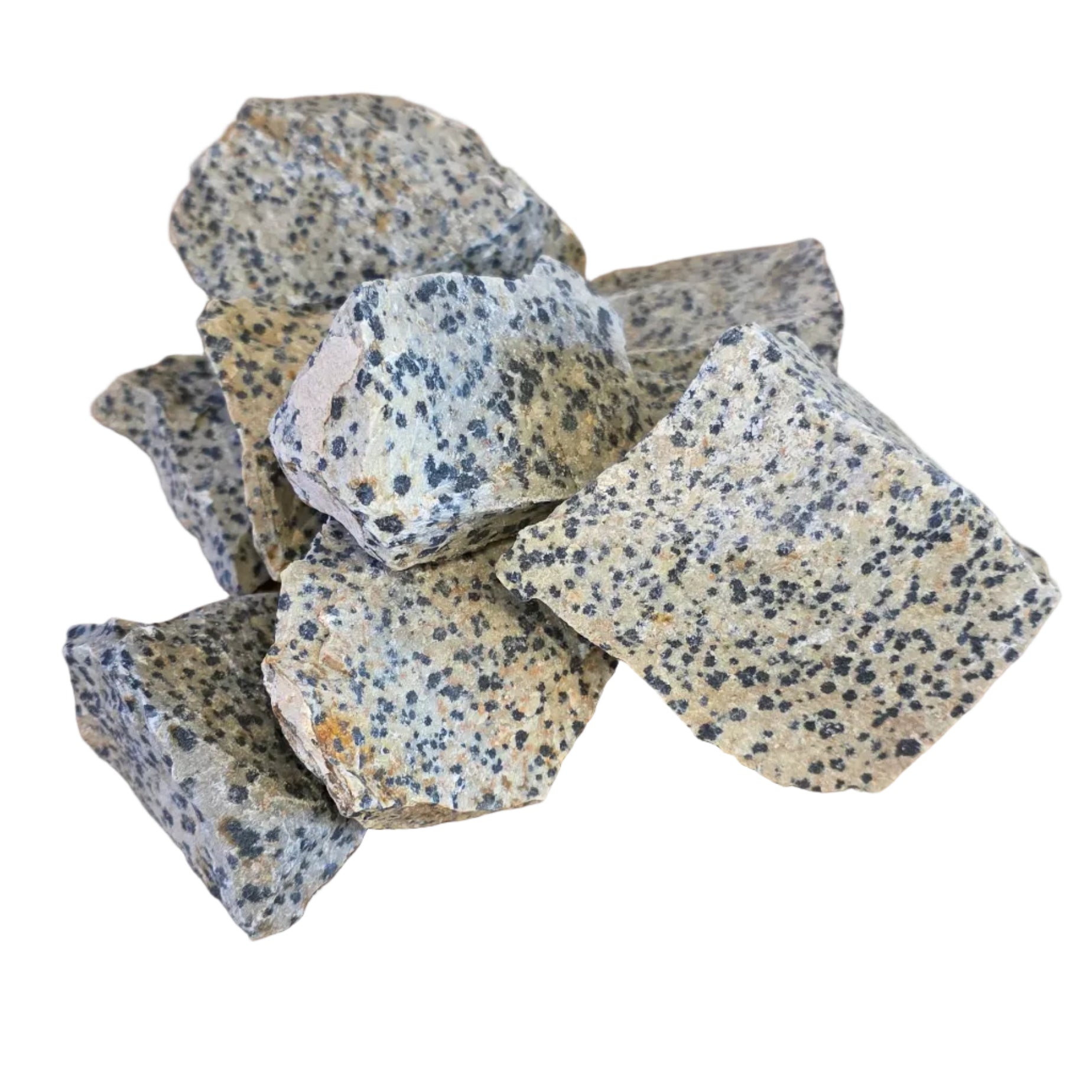 Large Raw Dalmatian Jasper