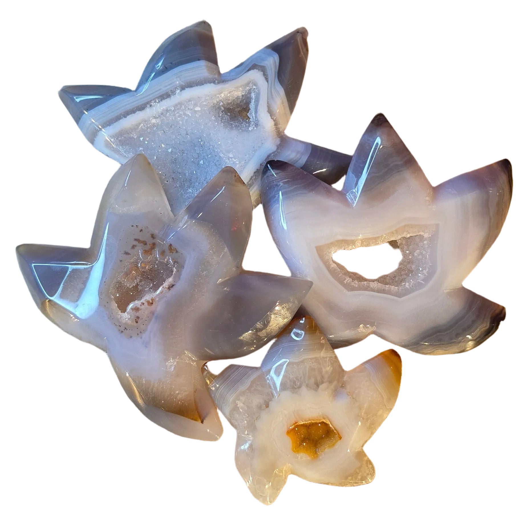 Druzy Agate Starfish