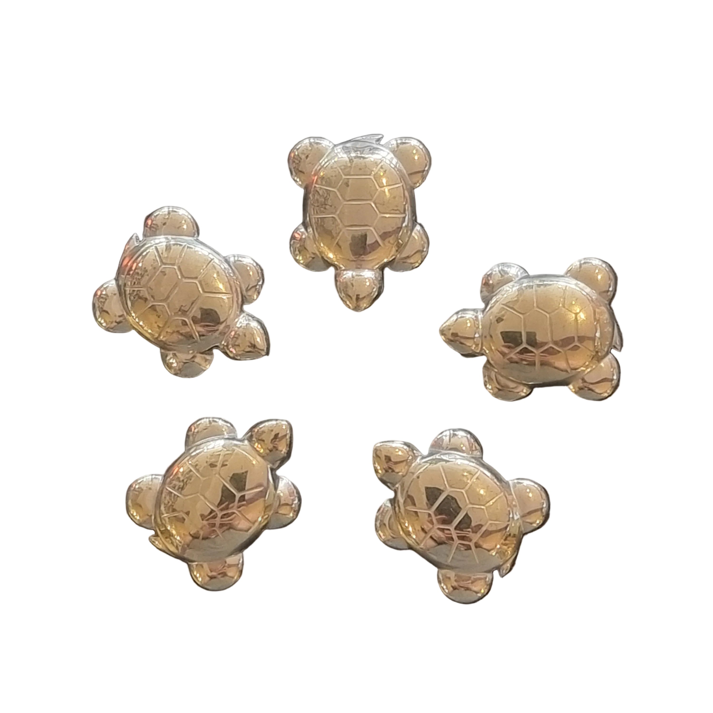 Pyrite Tortoise