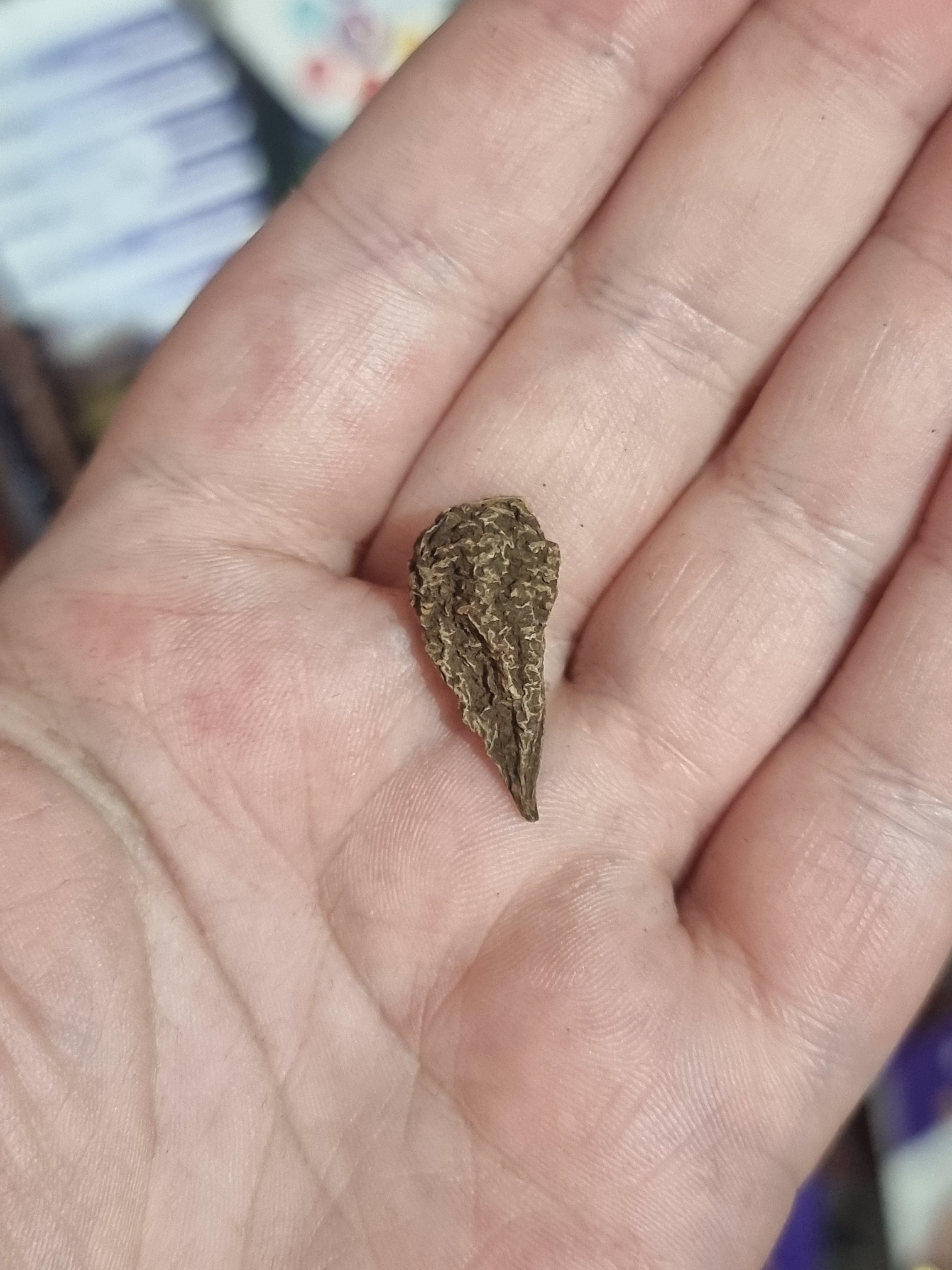 John The Conqueror Root