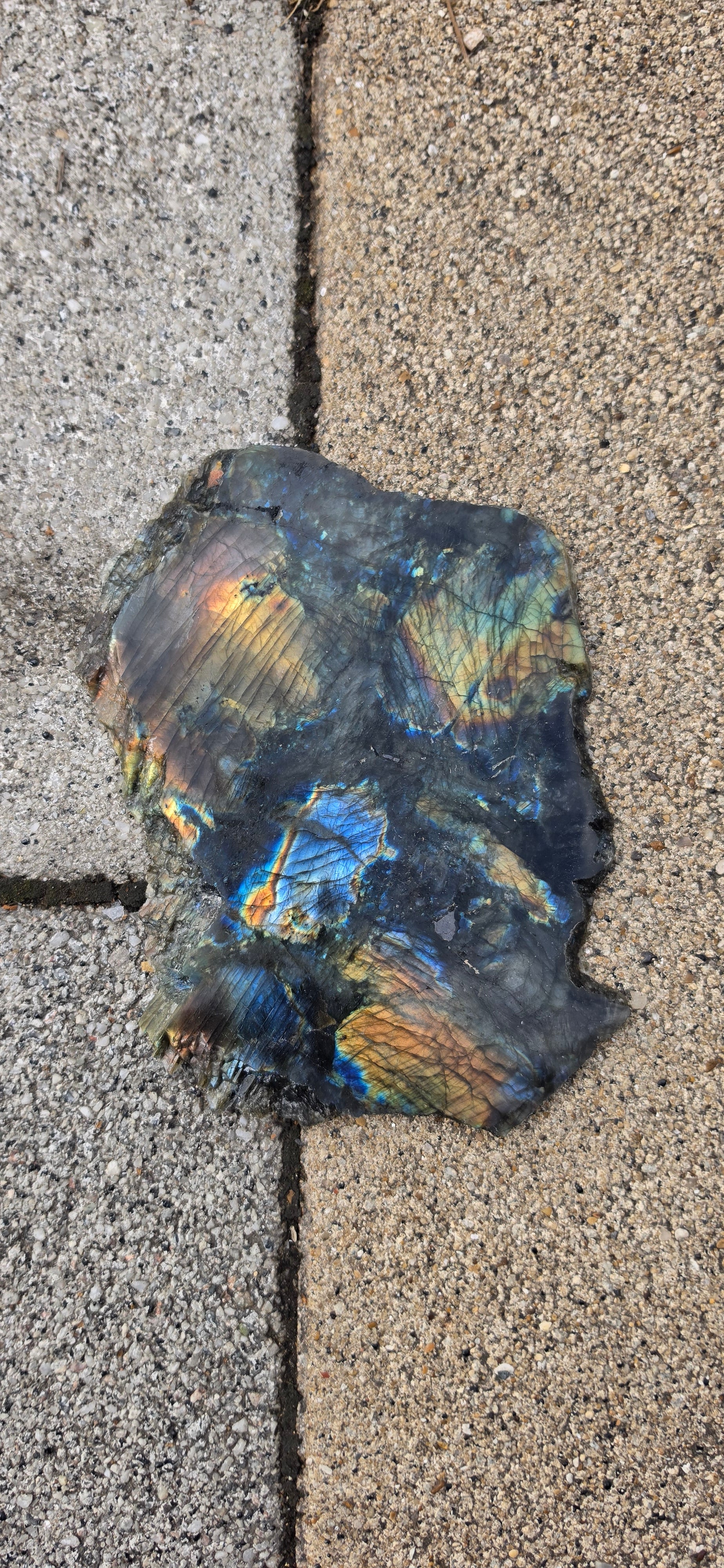 Labradorite Slices (Large)
