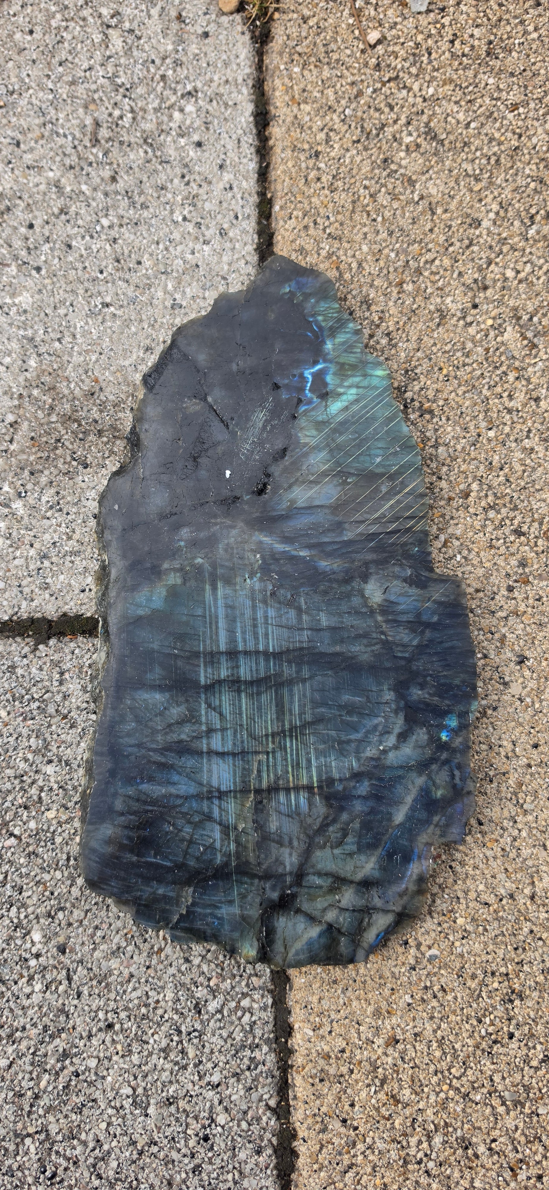 Labradorite Slices (Large)