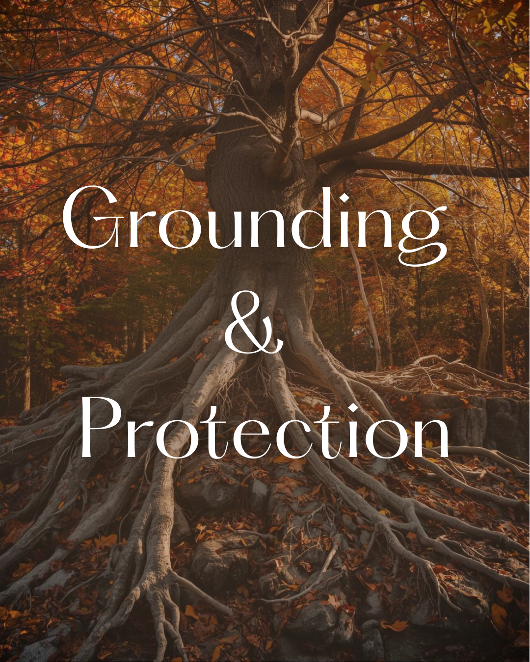 Grounding & Protection Workshop