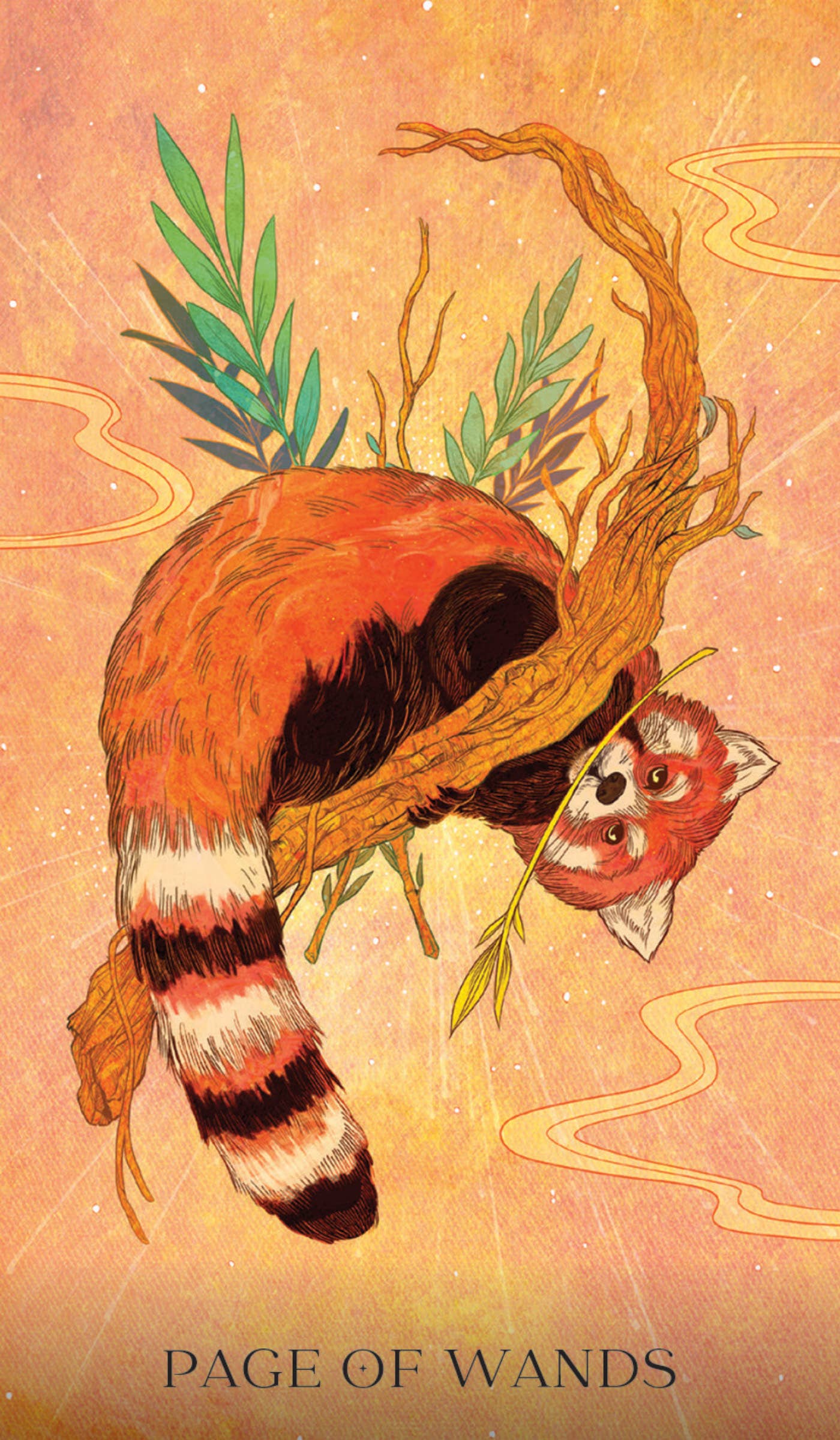Oriens Animal Tarot (Pocket Edition)