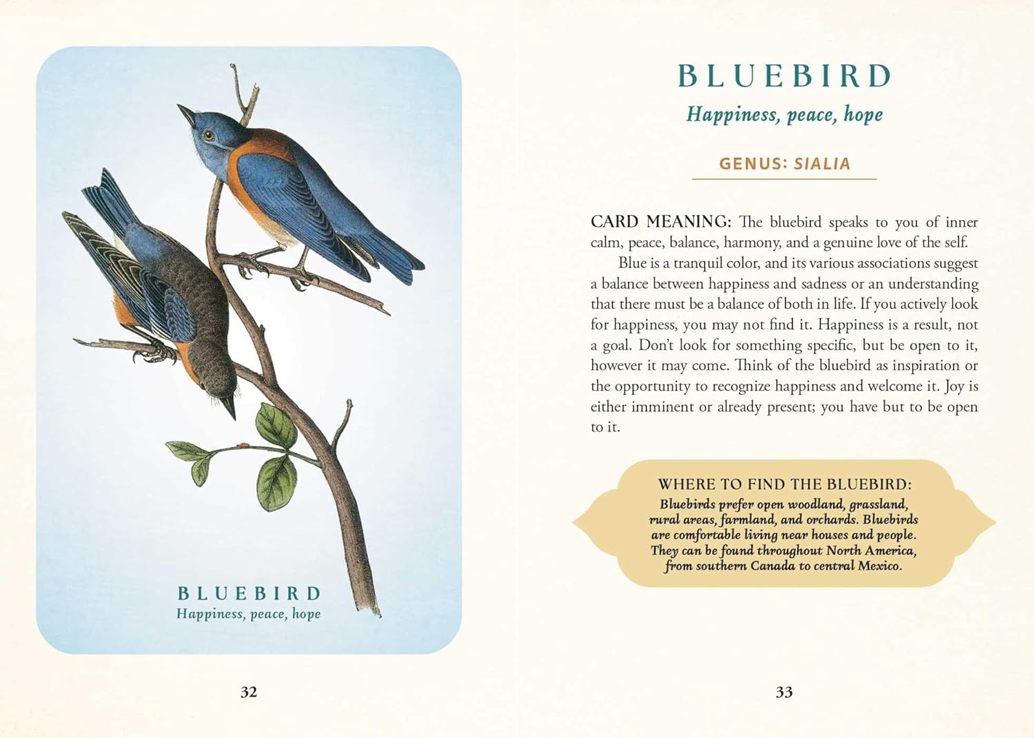 The Spiritual Meaning of Birds Oracle