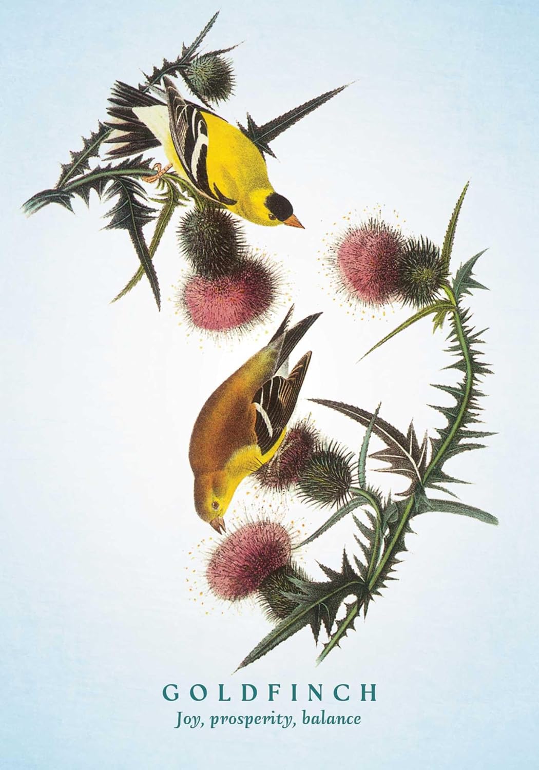 The Spiritual Meaning of Birds Oracle