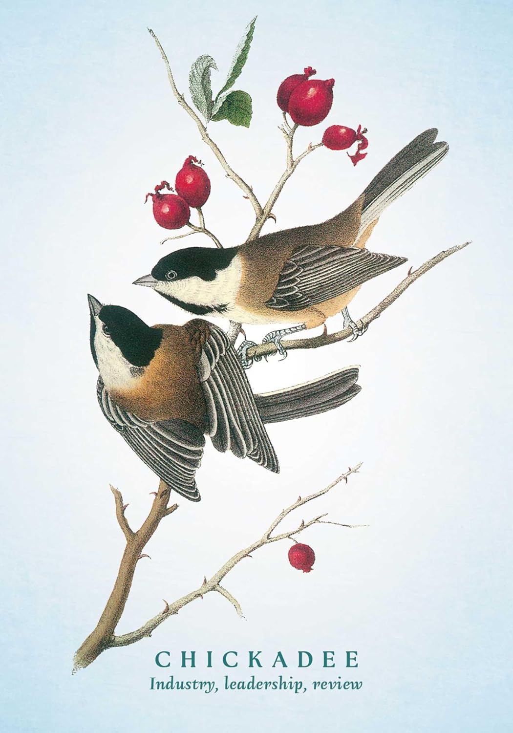 The Spiritual Meaning of Birds Oracle