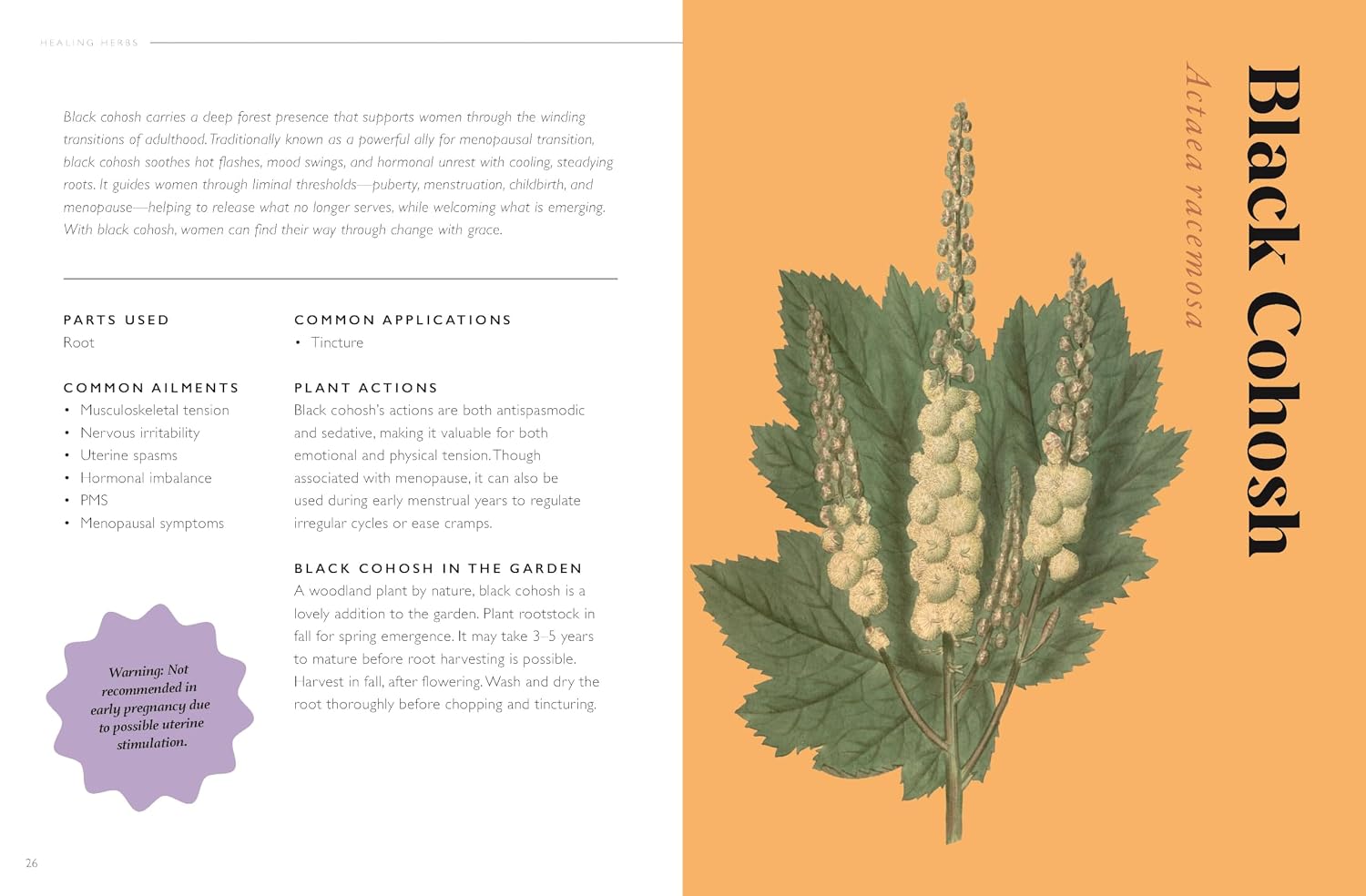 The Plant Pharmacy