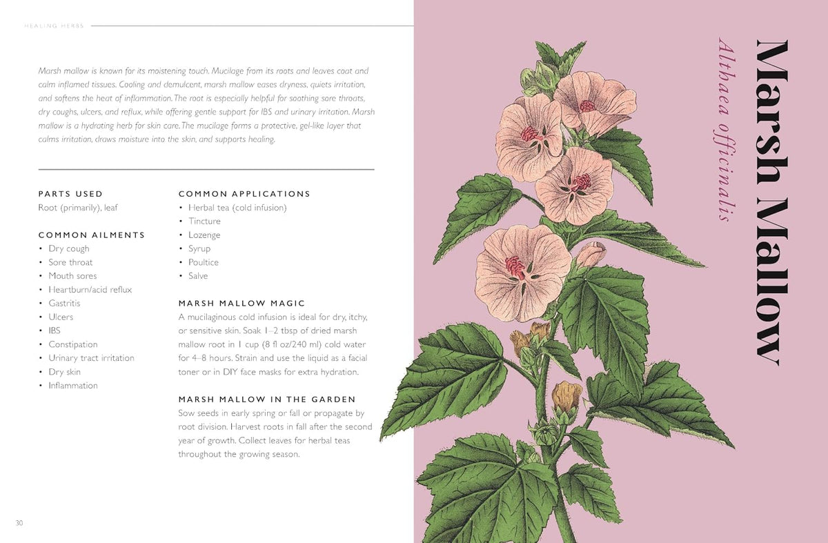 The Plant Pharmacy