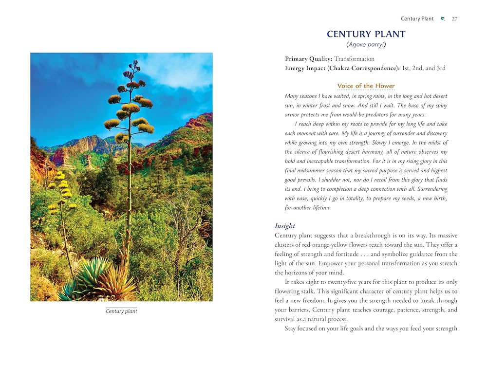 Plant Energy Medicine