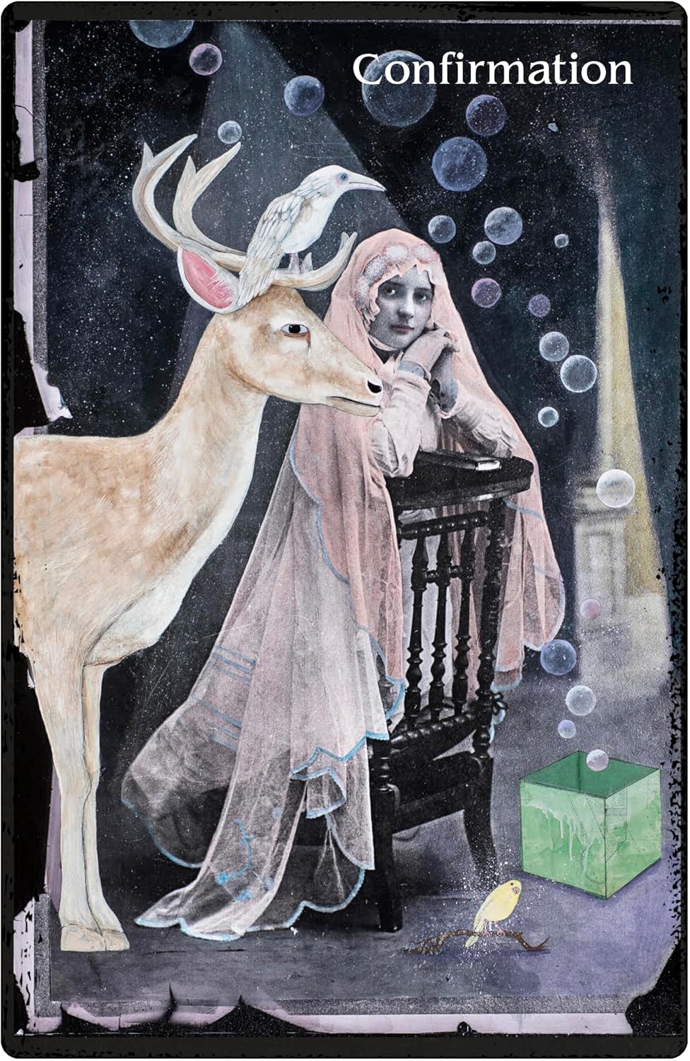 The Oracle of Rewilding