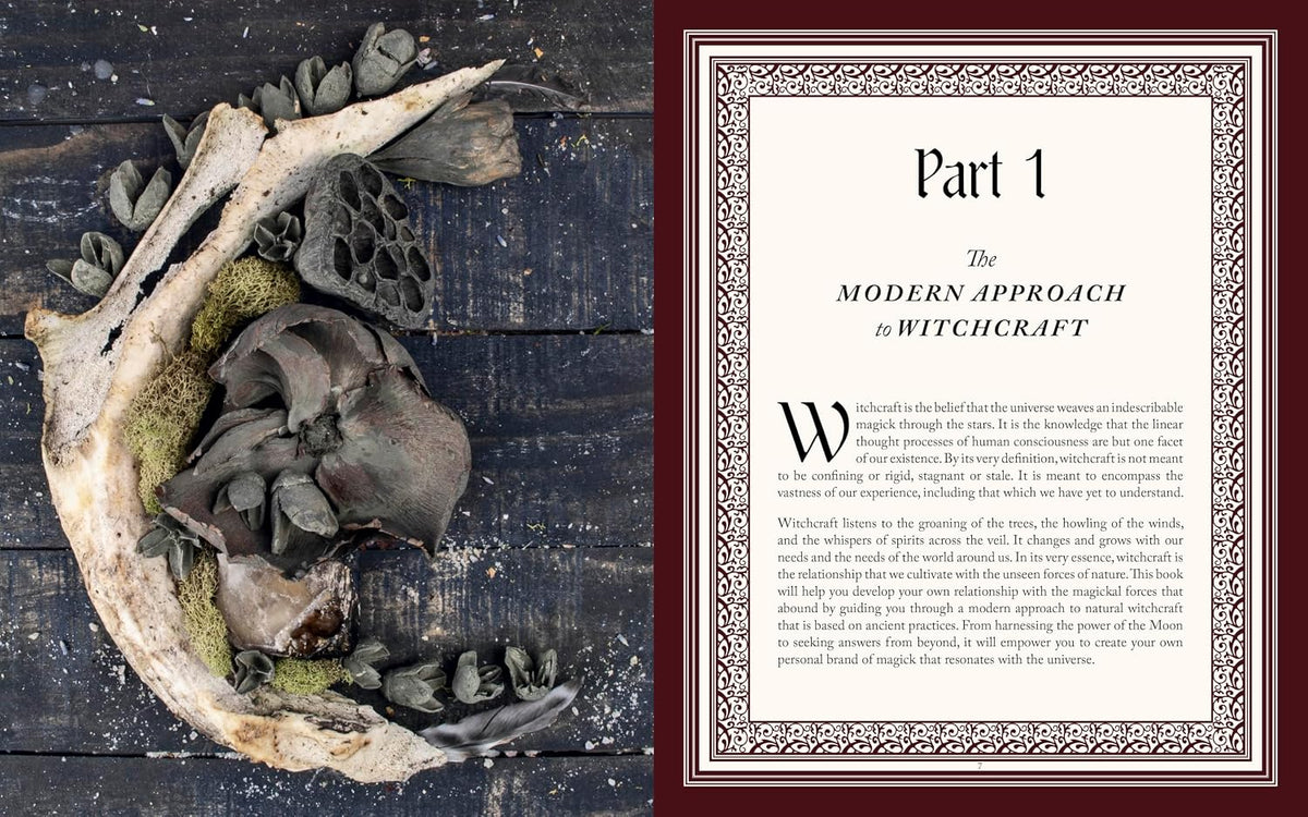 Sacred Art of Witchcraft
