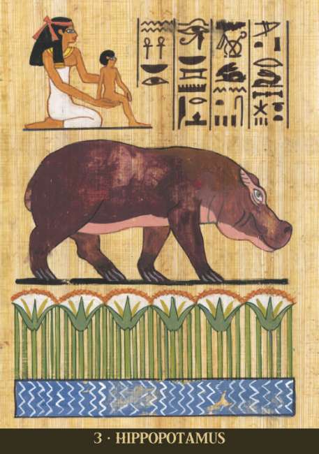 Egyptian Sacred Animals Oracle Deck