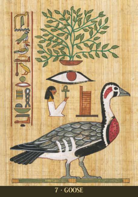 Egyptian Sacred Animals Oracle Deck