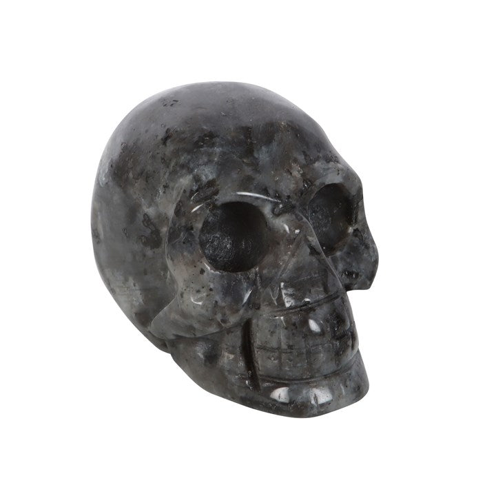 Black Labradorite Skull