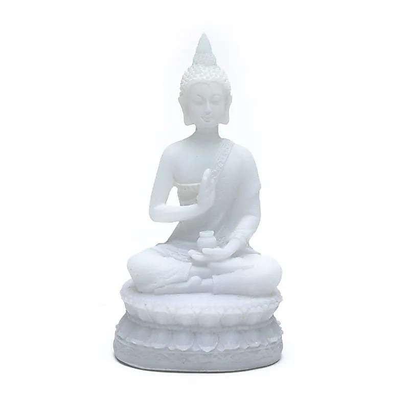 Buddha Statue With Amrita Vase