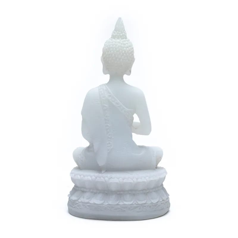 Buddha Statue With Amrita Vase