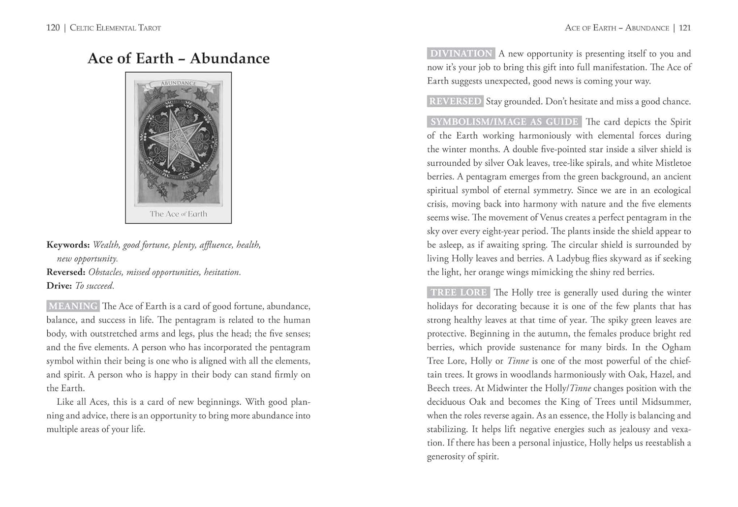 Celtic Elemental Tarot