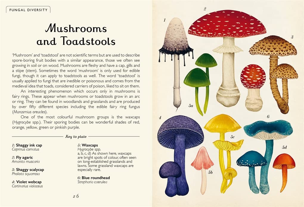 Fungarium (Pocket Edition)