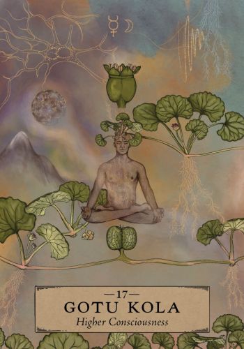 Herbal Astrology Oracle