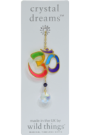 Om Rainbow Charm