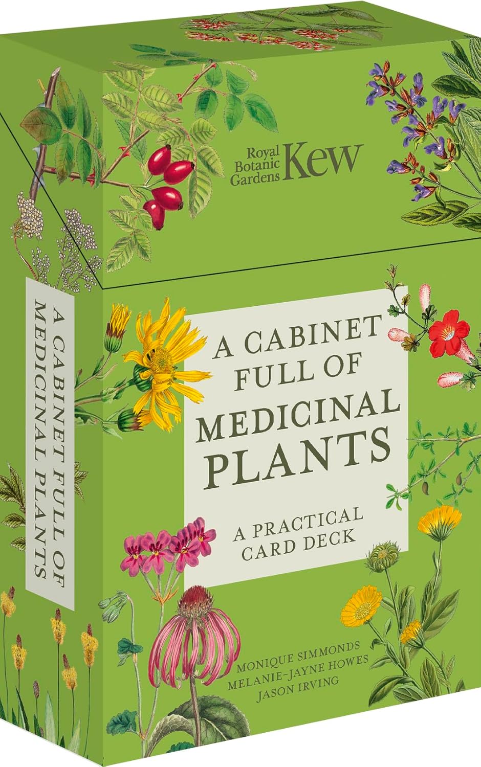 A Cabinet Full Of Medicinal Plants