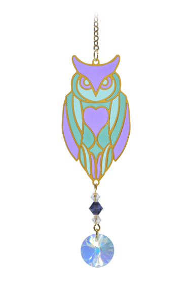 Owl Aurora  Charm