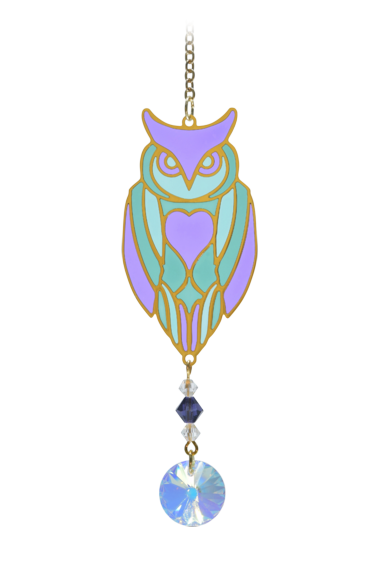 Owl Aurora Charm