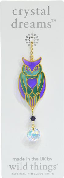 Owl Aurora Charm