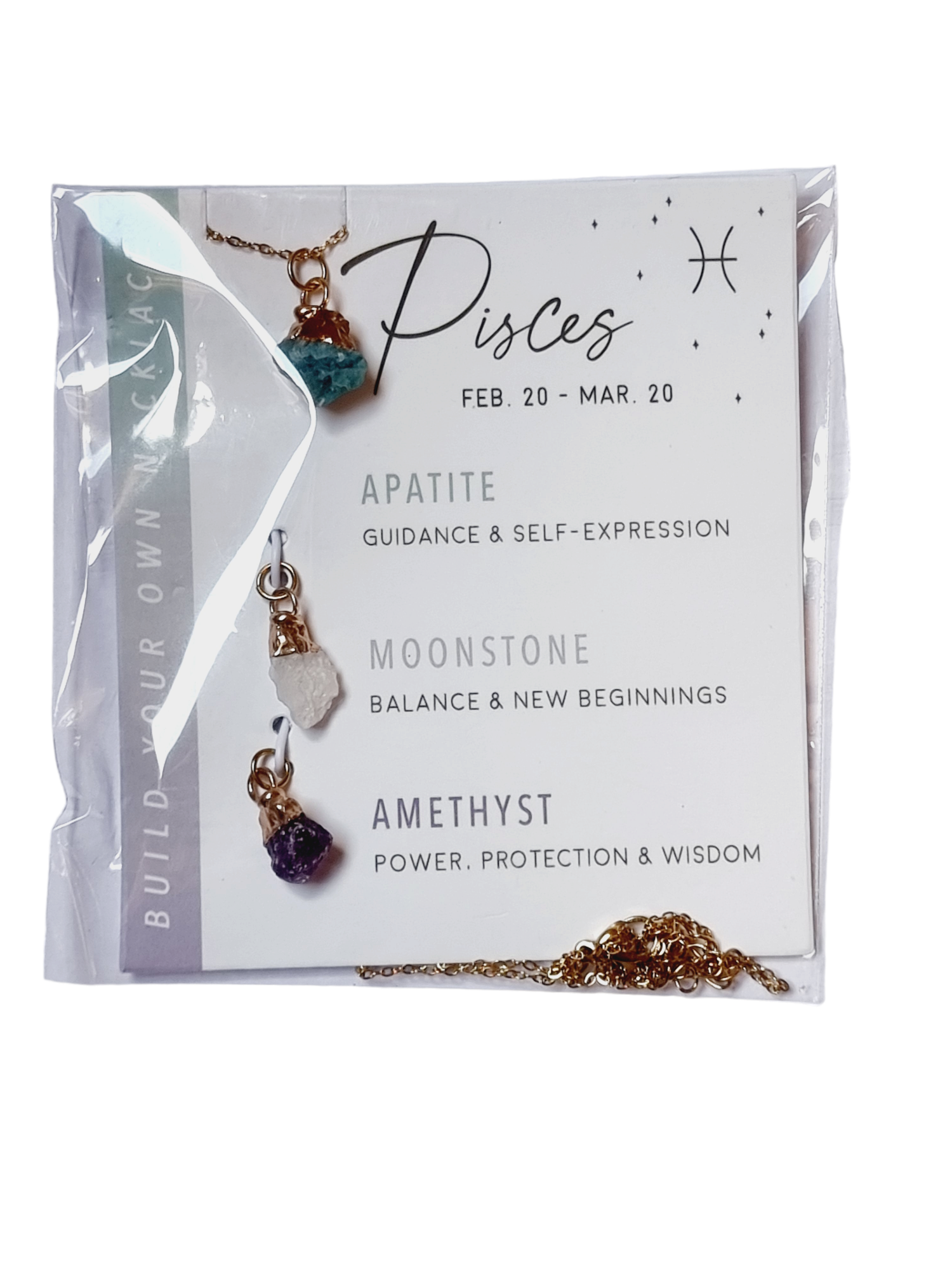 Pisces Necklace
