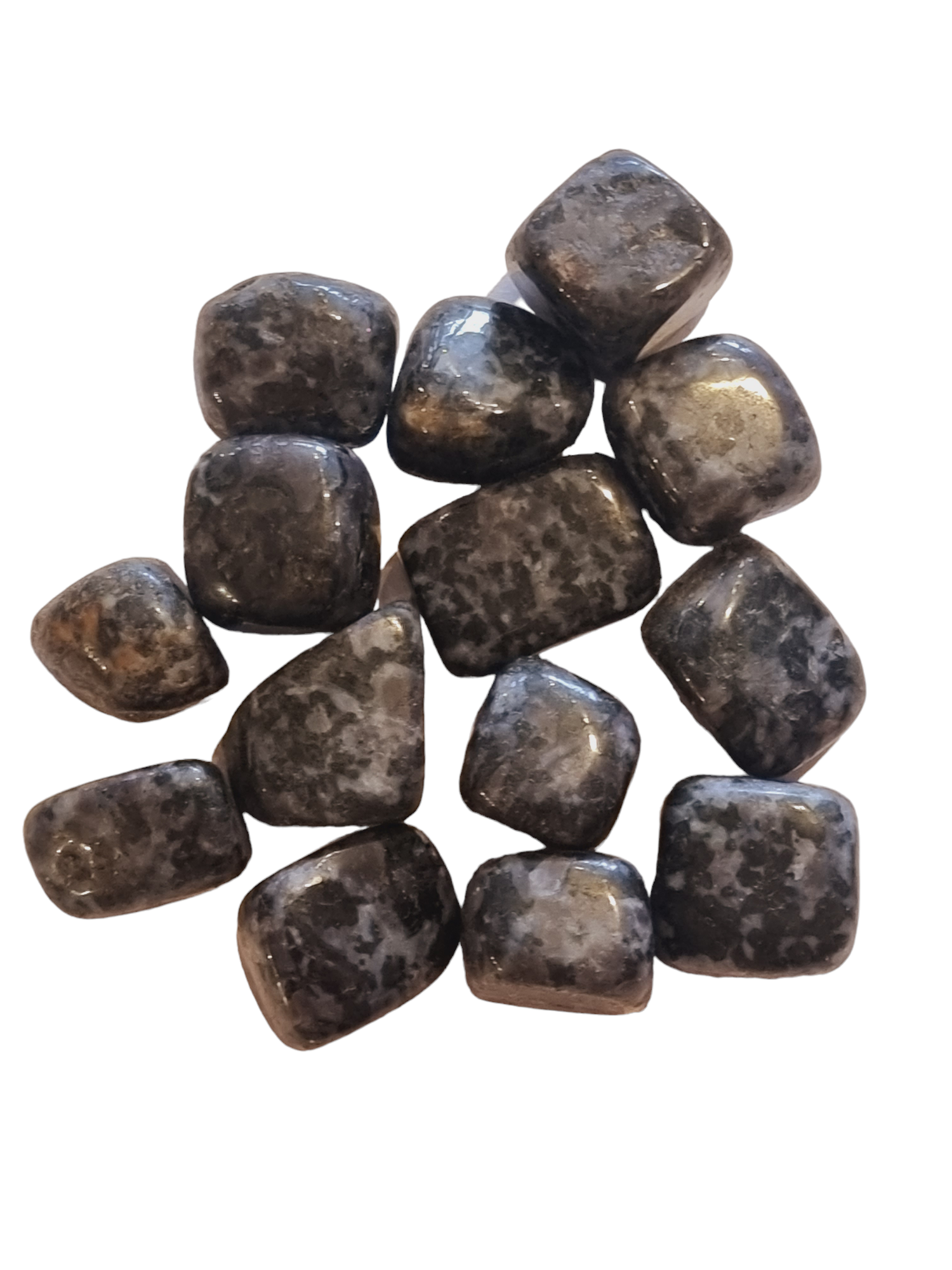 Indigo Gabbro