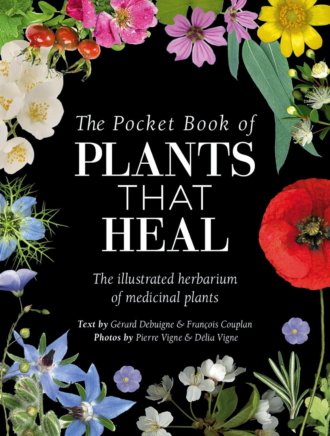 Pocket Book Of Plants That Heal