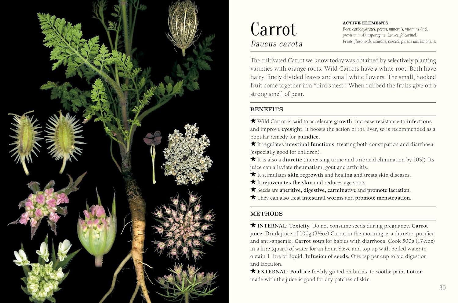 Pocket Book Of Plants That Heal